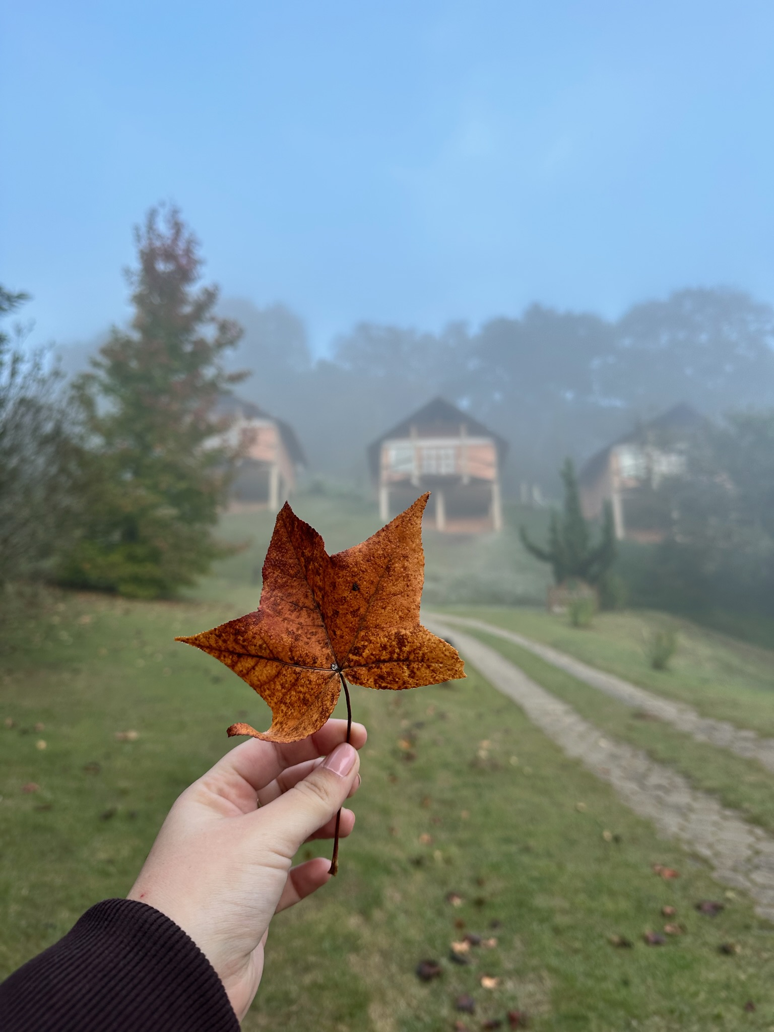 Natureza ao redor da pousada