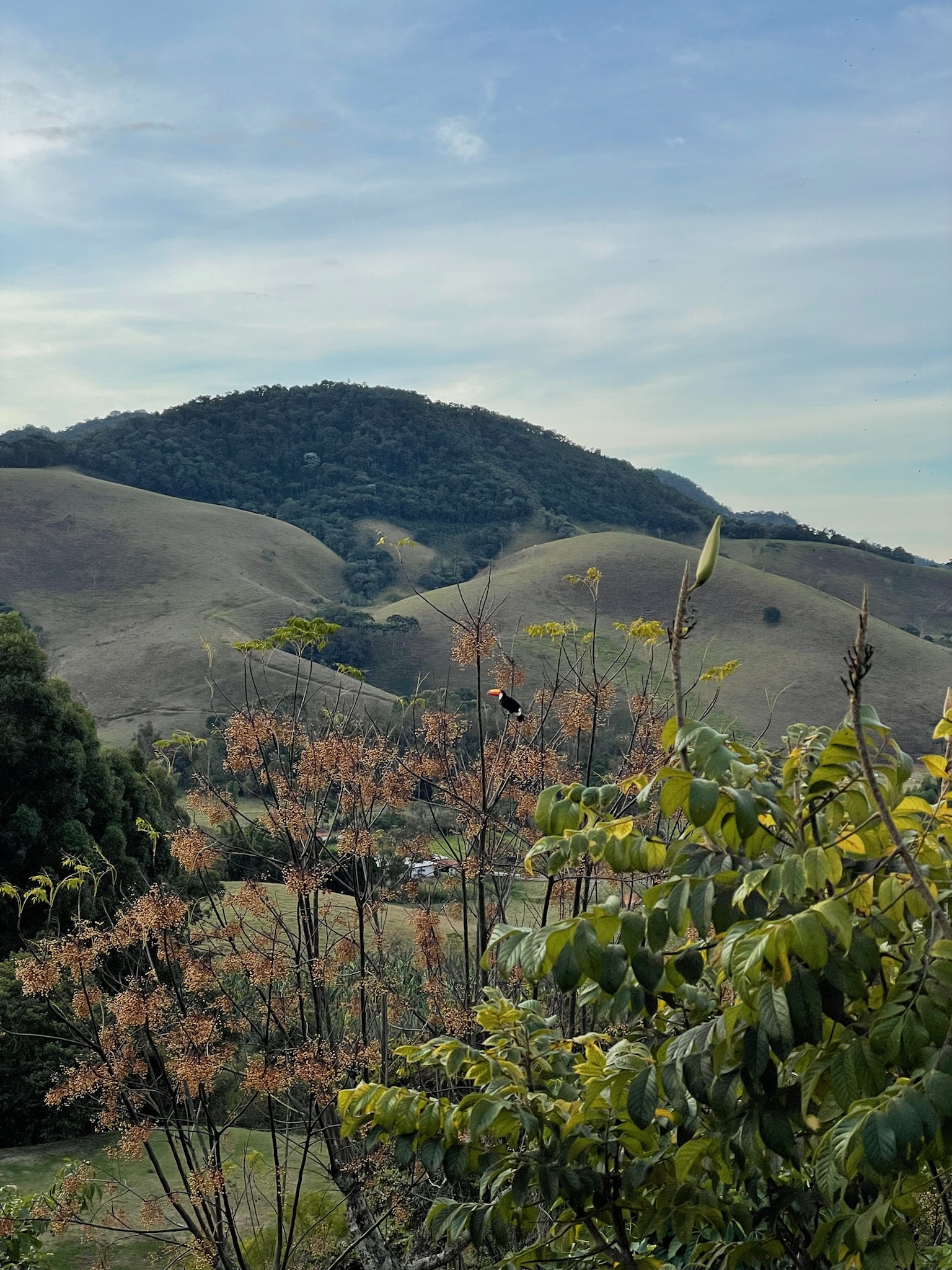 Natureza Preservada